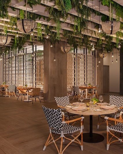 Dining Options