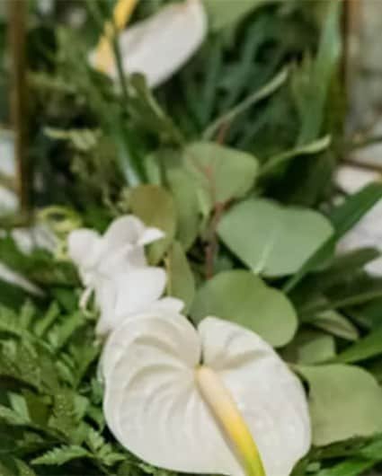 Wedding Package