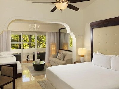 Family Room Tropical Palms