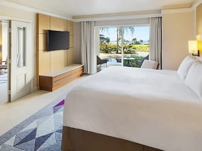 Hyatt Ziva One Bedroom Ocean View Swim Up Suite